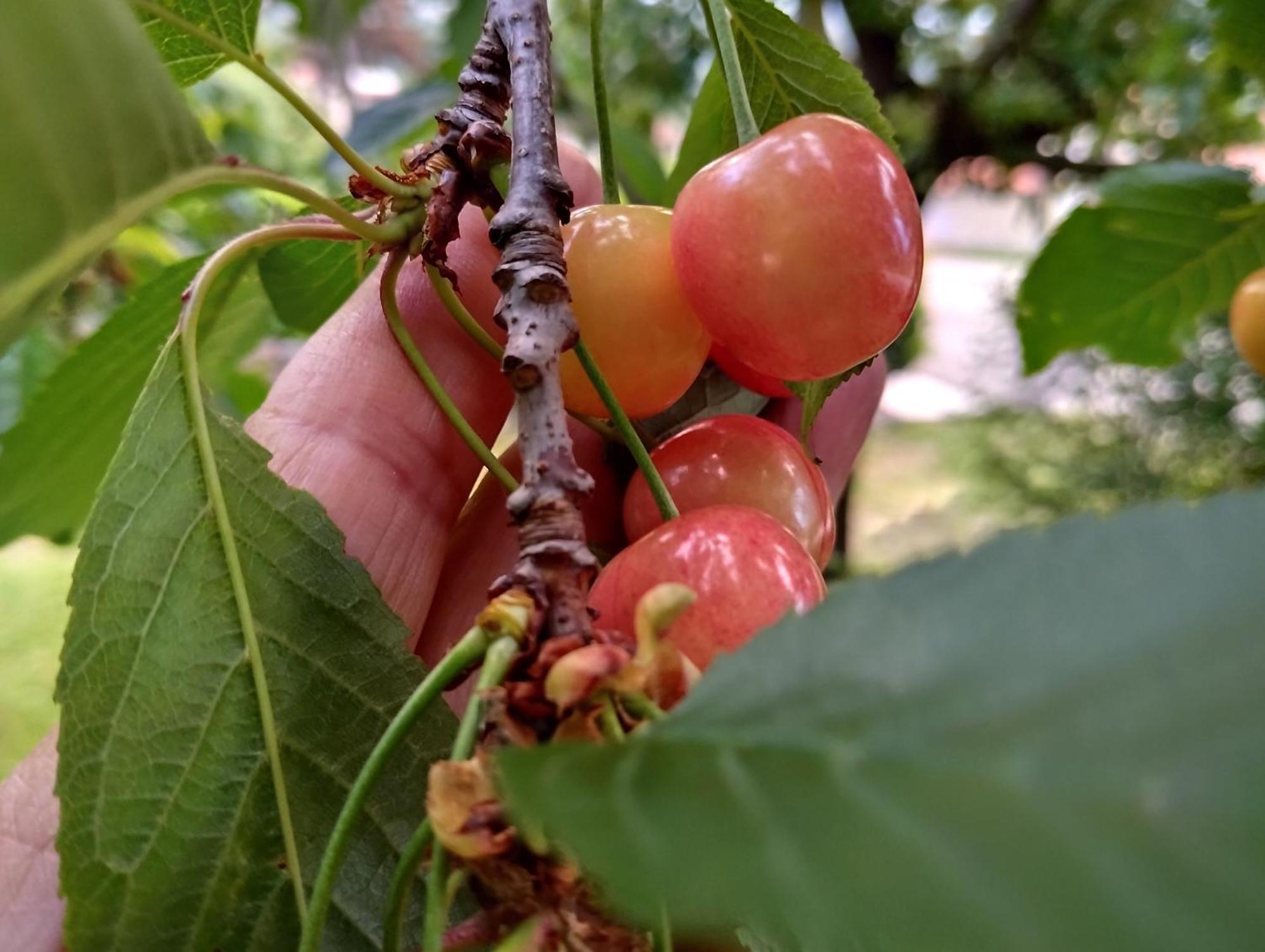 Appartamento Daal Roč Esterno foto