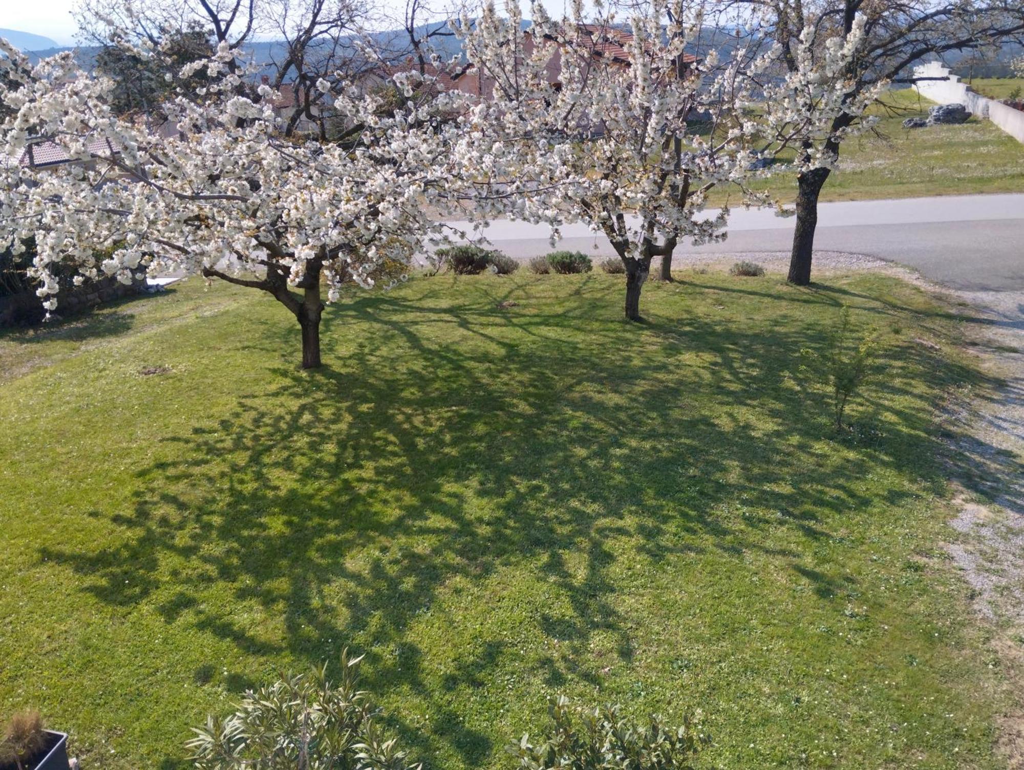 Appartamento Daal Roč Esterno foto
