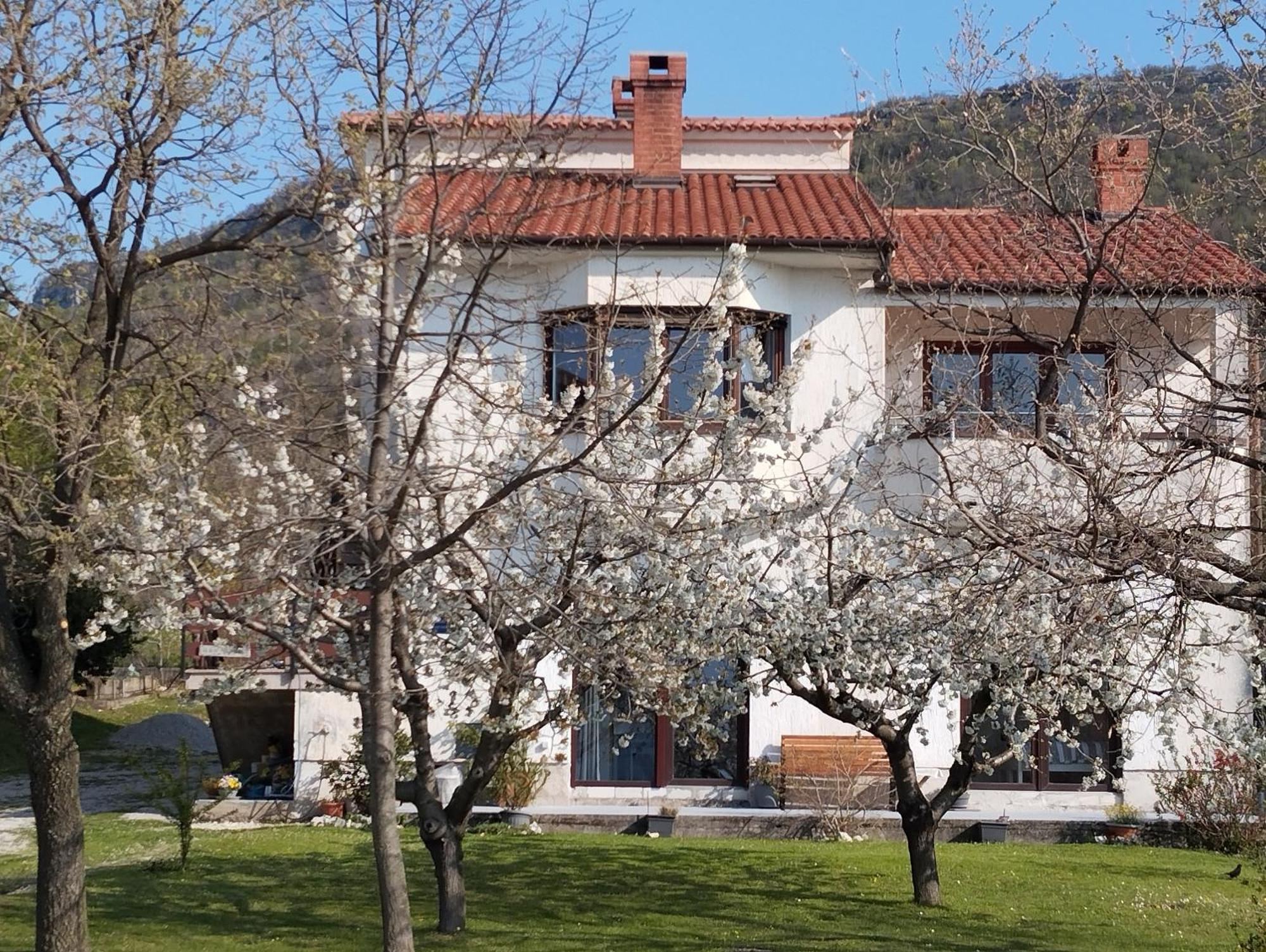 Appartamento Daal Roč Esterno foto