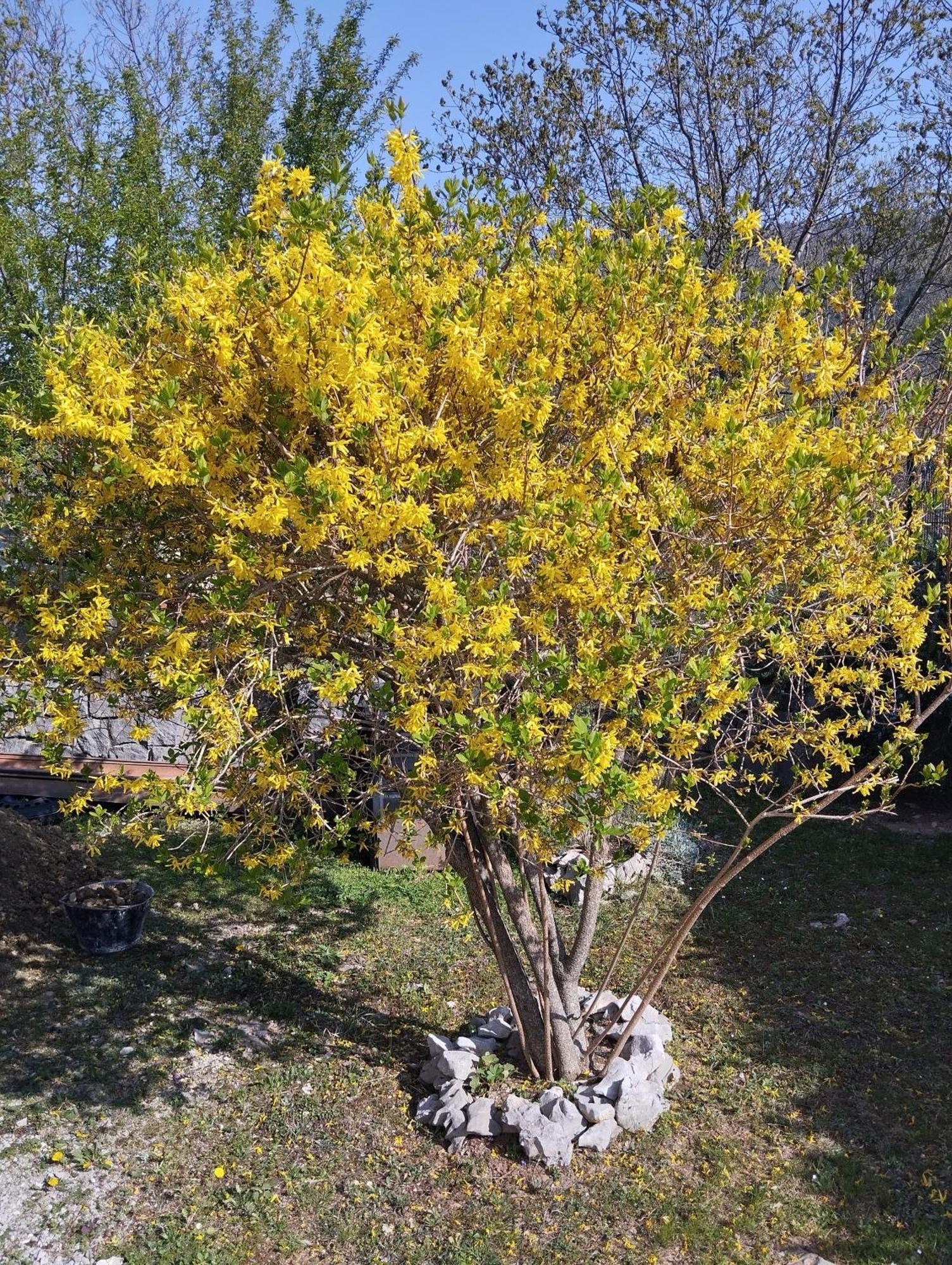 Appartamento Daal Roč Esterno foto